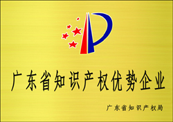 Intellectual property advantage enterprises of Guangdong Province